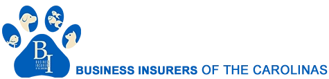 website logo